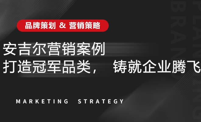 安吉尔营销案例——打造冠军品类，铸就企业腾飞