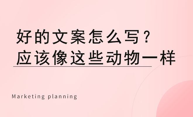 好的文案怎么写？应该像这些动物一样