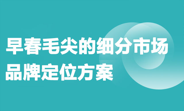 早春毛尖的细分市场品牌定位方案