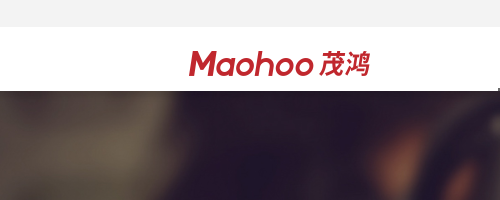 上海茂鸿文化传播有限公司