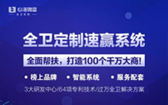 定制