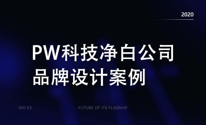 PW科技净白公司品牌设计案例