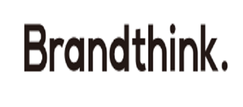 百德新智品牌设计