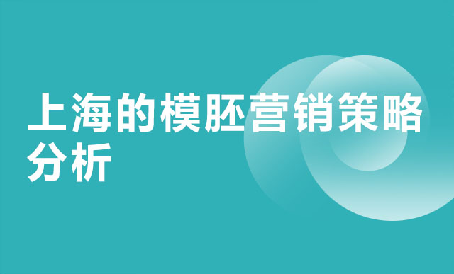 上海的模胚营销策略分析