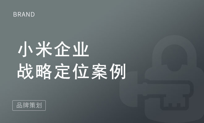 小米企业战略定位案例_成功企业战略定位案例