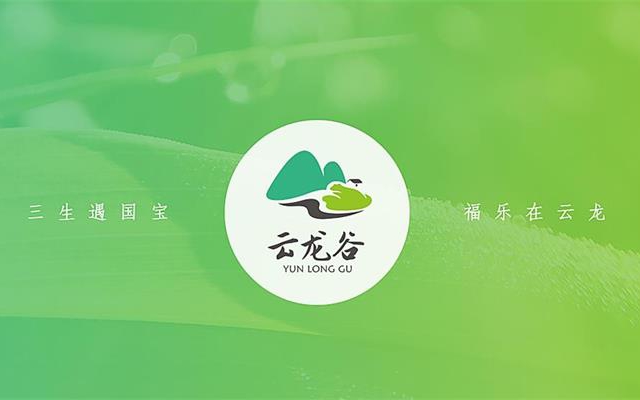 云龙谷景区品牌设计