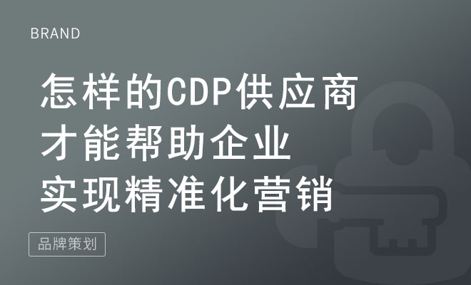 怎样的CDP供应商才能帮助企业实现精准化营销