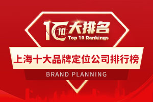 上海十大品牌定位公司排行榜