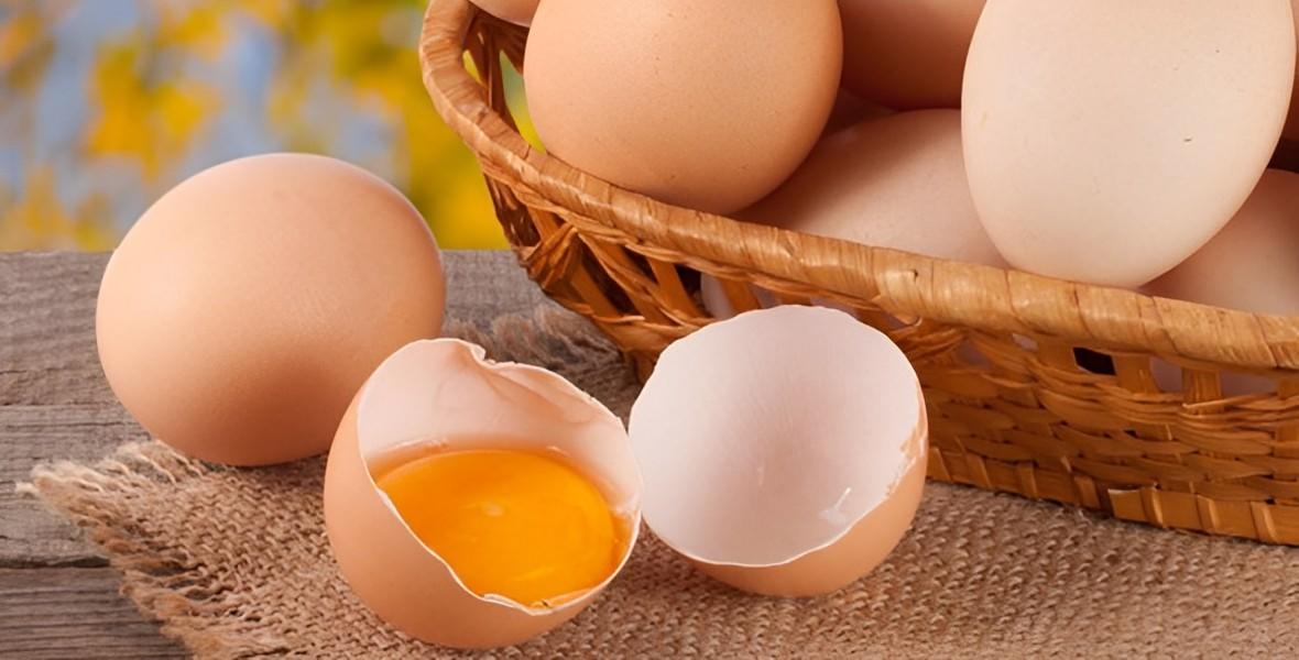 让新鲜的鸡蛋关爱您的家人 —新鲜鸡蛋就是艾鲜