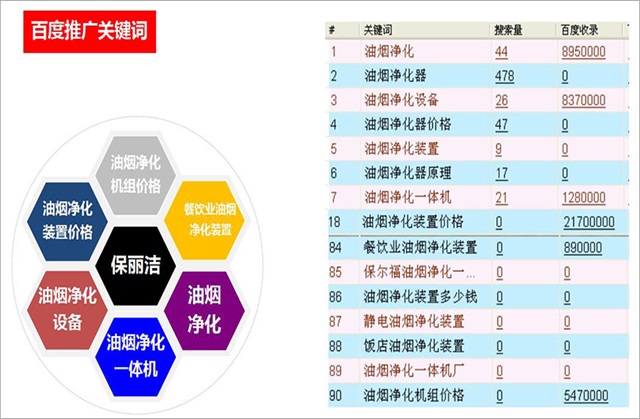 保丽洁品牌全案策划案例