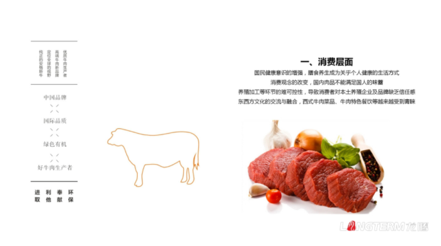 蜀道元牛牛肉品牌策划设计案例