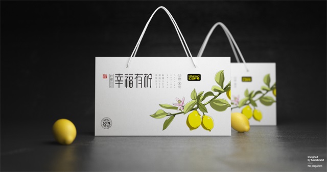 汇达柠檬食品品牌全案策划_重庆蓝鹰智业品牌营销策划公司案例