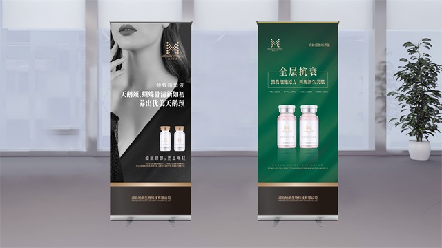 美孜源素美业美容品牌设计_武汉核心点营销策划有限公司案例