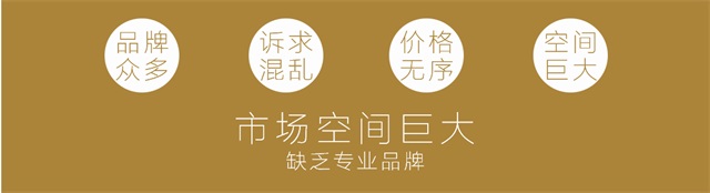 长石河谷空气净化器品牌策划_重庆电器品牌营销策划公司案例