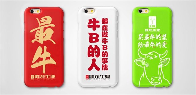 胜龙牛业牛肉品牌策划设计_广州生鲜食品品牌策划公司案例