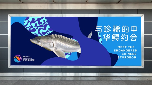 北京海洋馆品牌vi设计重塑_上海品牌策划设计公司案例