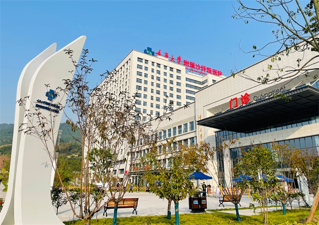 重庆沙坪坝医院品牌设计