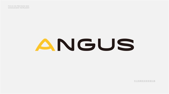 安格斯美容仪器品牌全案策划设计