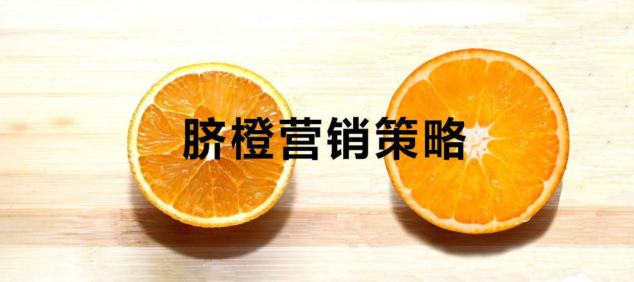 脐橙营销策略