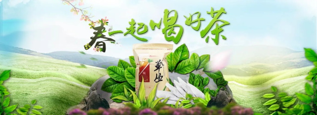 茶叶品牌在上海如何营销