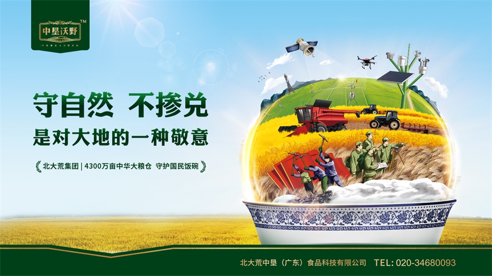 企业该怎么选品牌策划公司？