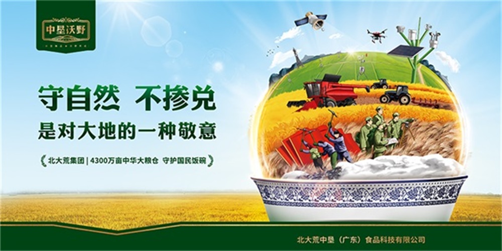 品牌策划公司的选择指南