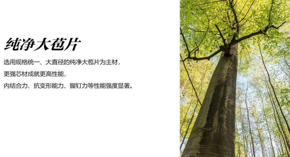 板材品牌营销策划