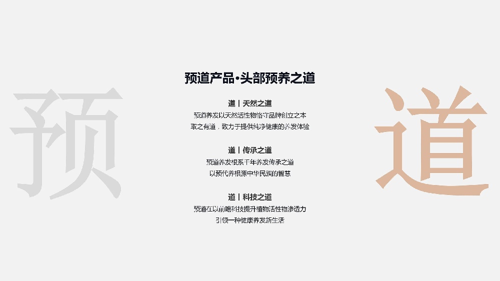 预道养发品牌设计