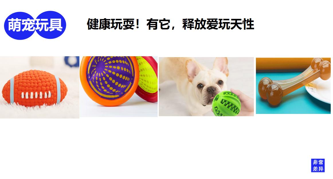 宜特宠物用品品牌营销策划