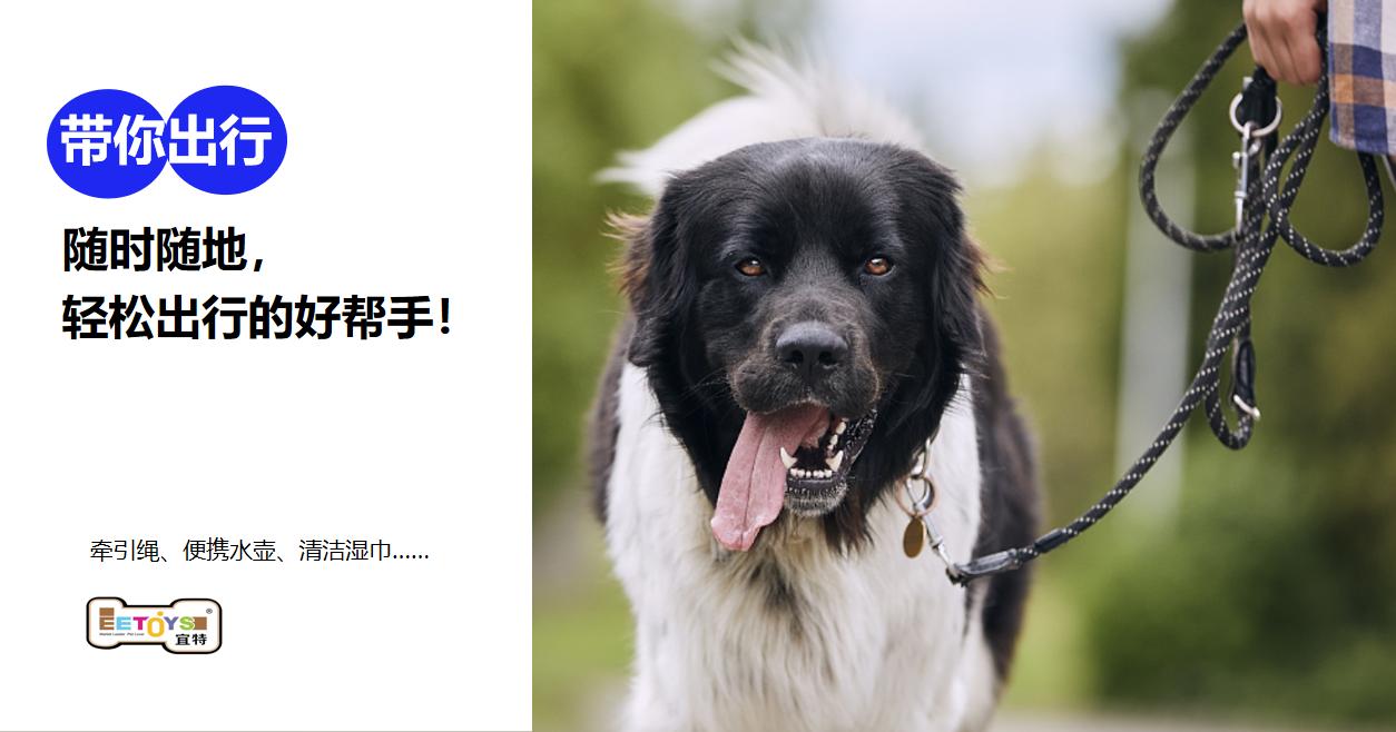 宜特宠物用品品牌营销策划