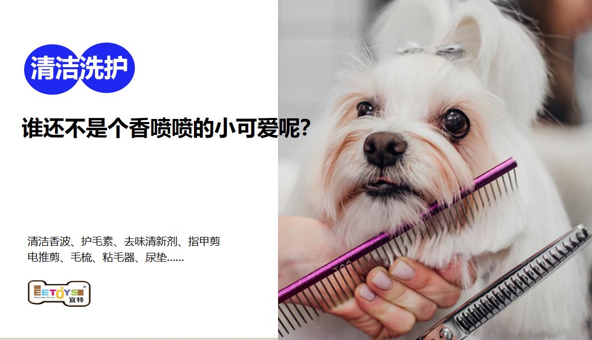 宜特宠物用品品牌营销策划