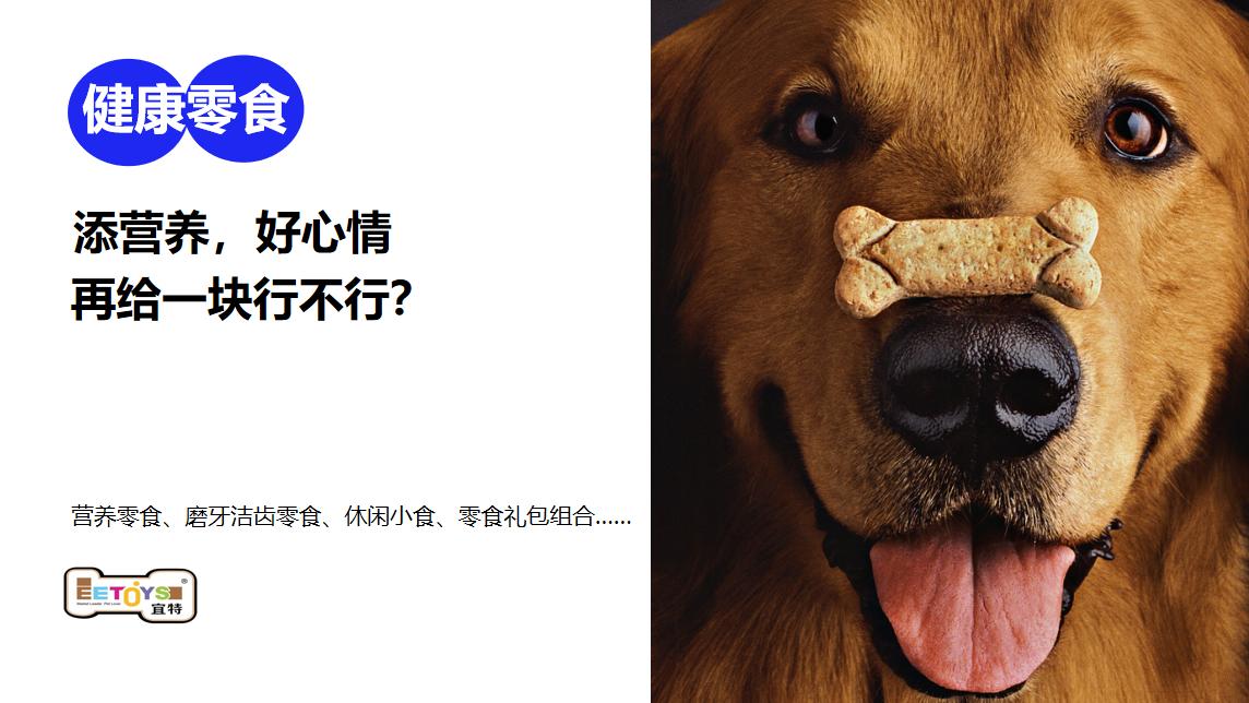 宜特宠物用品品牌营销策划