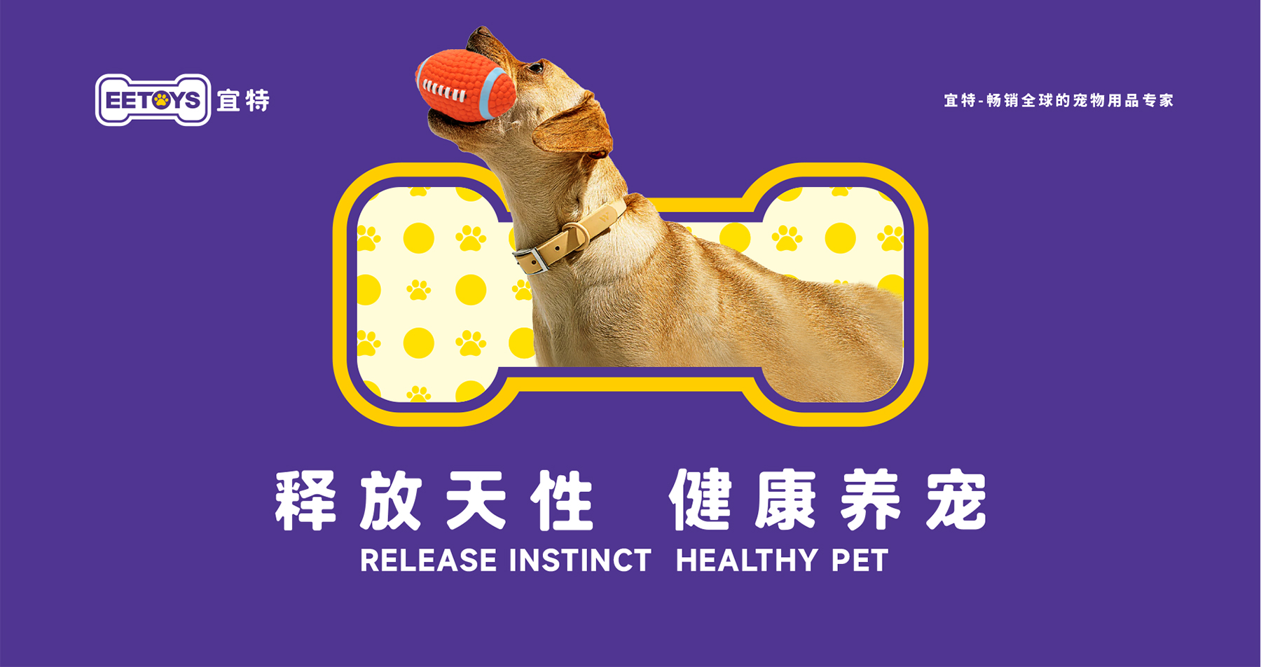 宜特宠物用品品牌营销策划