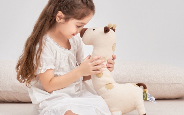 乐瓜抱枕品牌全案策划设计