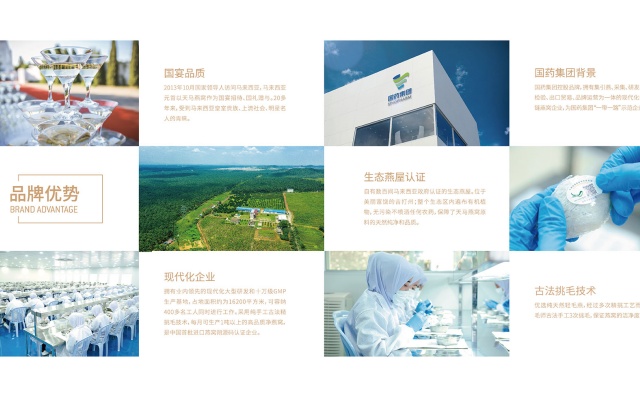 拿督马燕燕窝品牌全案策划设计