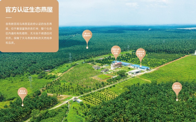 拿督马燕燕窝品牌全案策划设计