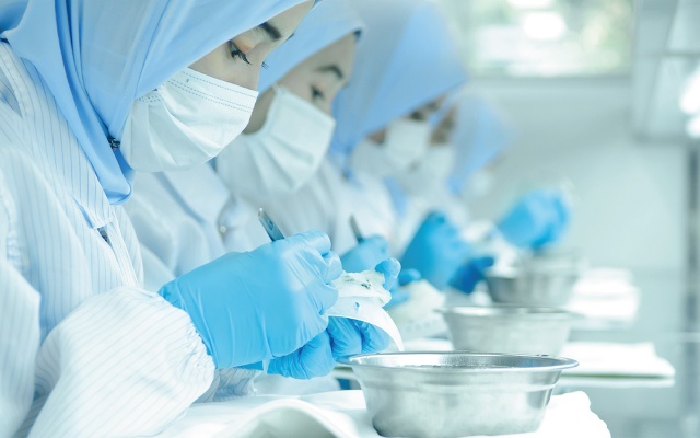 拿督马燕燕窝品牌全案策划设计