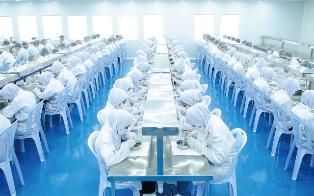 拿督马燕燕窝品牌全案策划设计