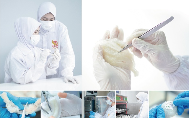 拿督马燕燕窝品牌全案策划设计