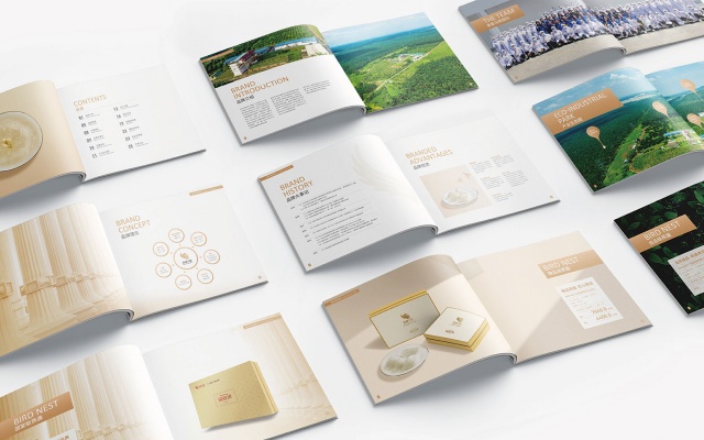 拿督马燕燕窝品牌全案策划设计