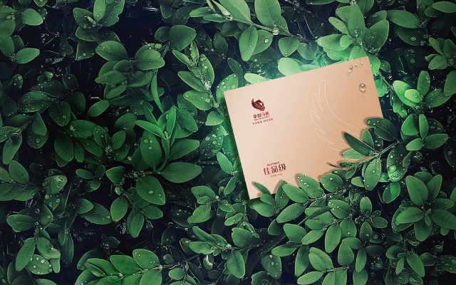 拿督马燕燕窝品牌全案策划设计