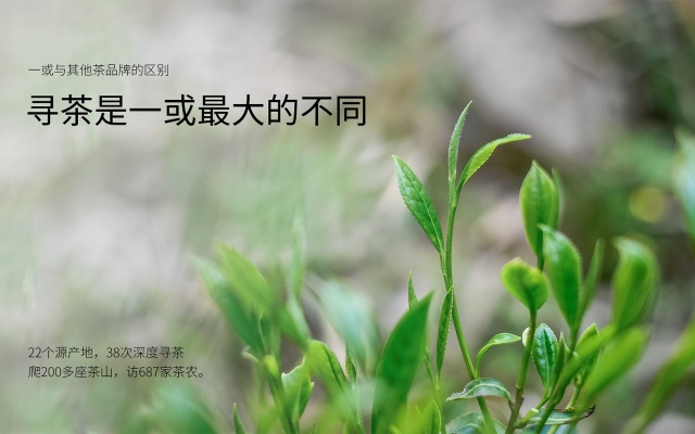 一或茶叶品牌全案策划与设计