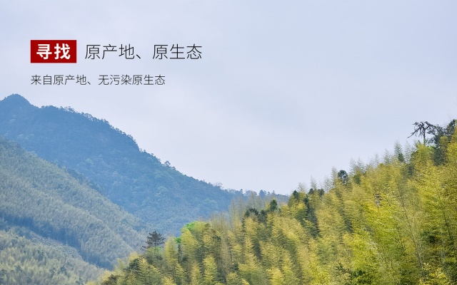 一或茶叶品牌全案策划与设计