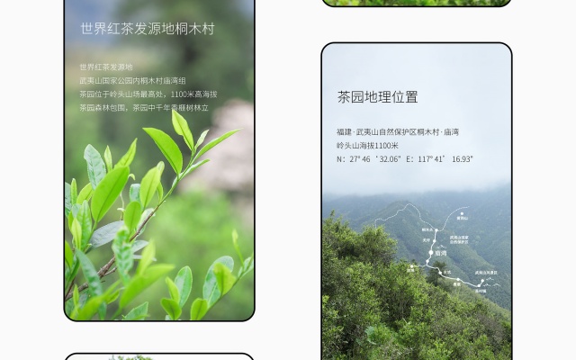 一或茶叶品牌全案策划与设计