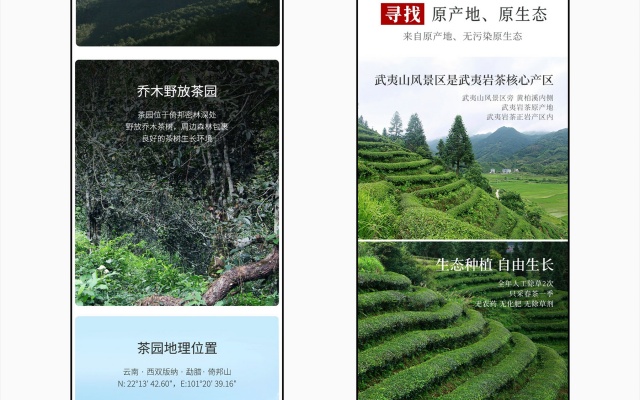 一或茶叶品牌全案策划与设计