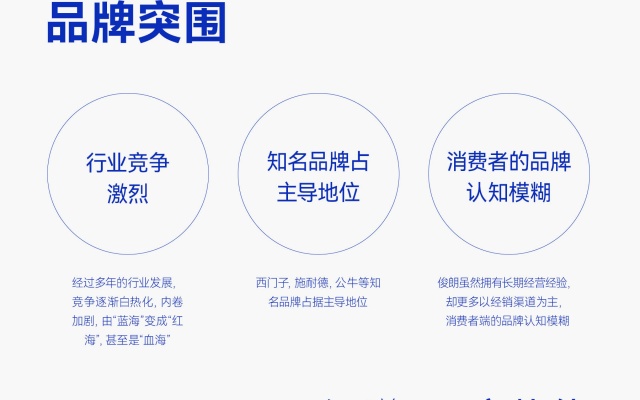 俊朗电器品牌全案策划设计