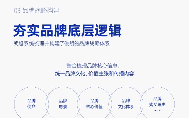 俊朗电器品牌全案策划设计