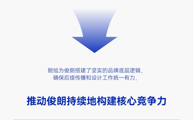 俊朗电器品牌全案策划设计