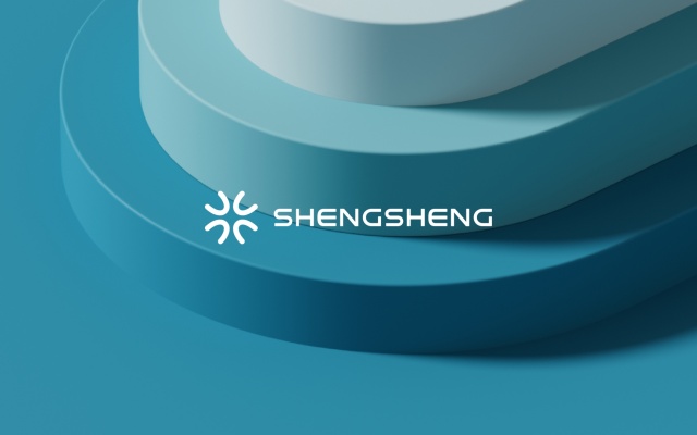 上海生生物流品牌vi设计