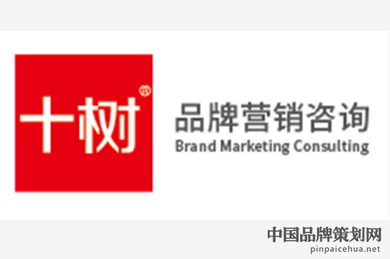 十树品牌营销咨询,上海营销策划,营销策划公司